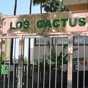 https://los-cactus.in-canary-islands.com